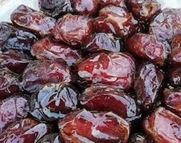 قیمت خرید خرما کبکاب + مزایا و معایب